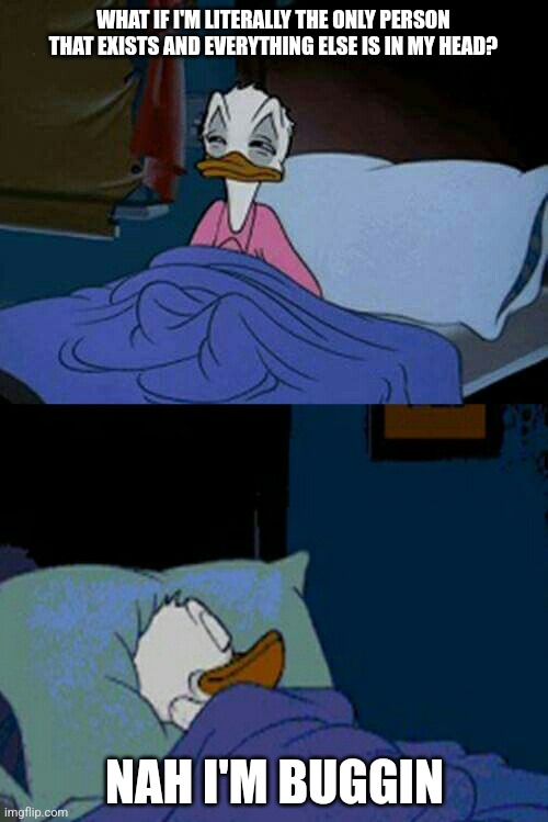 sleepy donald duck in bed | WHAT IF I'M LITERALLY THE ONLY PERSON THAT EXISTS AND EVERYTHING ELSE IS IN MY HEAD? NAH I'M BUGGIN | image tagged in sleepy donald duck in bed | made w/ Imgflip meme maker