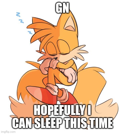 GN; HOPEFULLY I CAN SLEEP THIS TIME | made w/ Imgflip meme maker