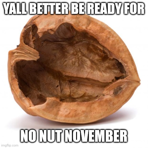 43 more days | YALL BETTER BE READY FOR; NO NUT NOVEMBER | image tagged in nutshell,no nut november | made w/ Imgflip meme maker