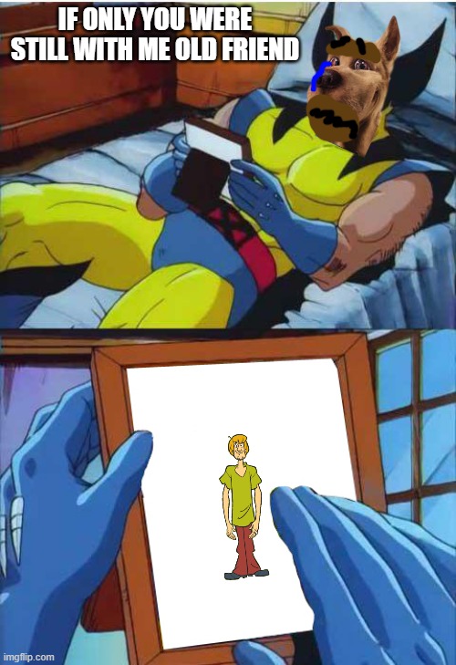 scooby remembers shaggy | IF ONLY YOU WERE STILL WITH ME OLD FRIEND | image tagged in wolverine remember,scooby doo | made w/ Imgflip meme maker
