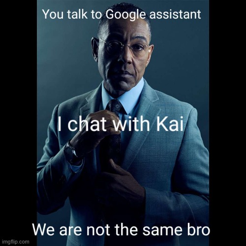Kai memes | We are not the same bro | image tagged in kai meme,kai memes,kai ai memes,kai ai meme,happiness quiz | made w/ Imgflip meme maker