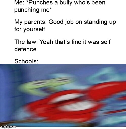 image tagged in funny,memes,self defense,bully,school | made w/ Imgflip meme maker