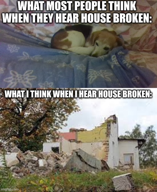 WHAT MOST PEOPLE THINK WHEN THEY HEAR HOUSE BROKEN:; WHAT I THINK WHEN I HEAR HOUSE BROKEN: | image tagged in my dog 3 | made w/ Imgflip meme maker