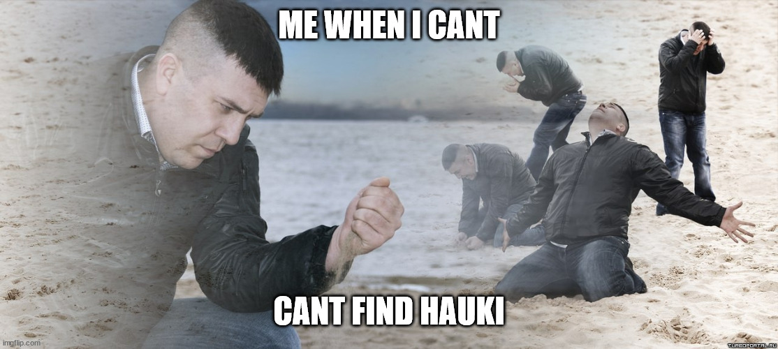 Guy with sand in the hands of despair | ME WHEN I CANT; CANT FIND HAUKI | image tagged in guy with sand in the hands of despair | made w/ Imgflip meme maker