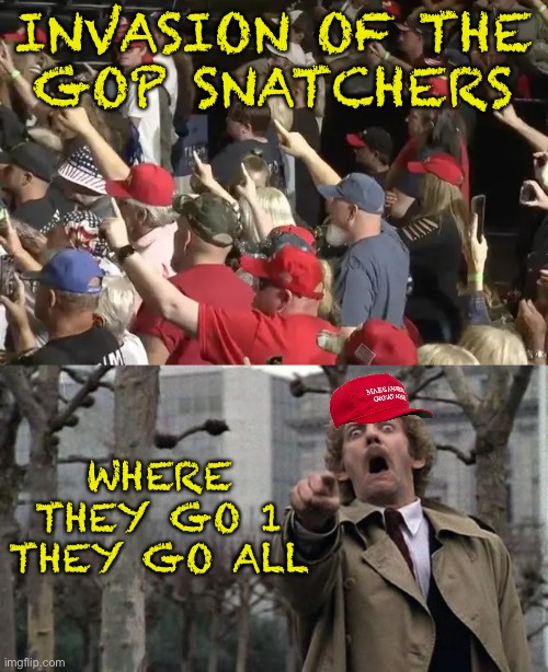 Qanon invasion of GOP | INVASION OF THE
GOP SNATCHERS; WHERE THEY GO 1 THEY GO ALL | image tagged in invasion of the body snatchers,gop,qanon,conspiracy | made w/ Imgflip meme maker