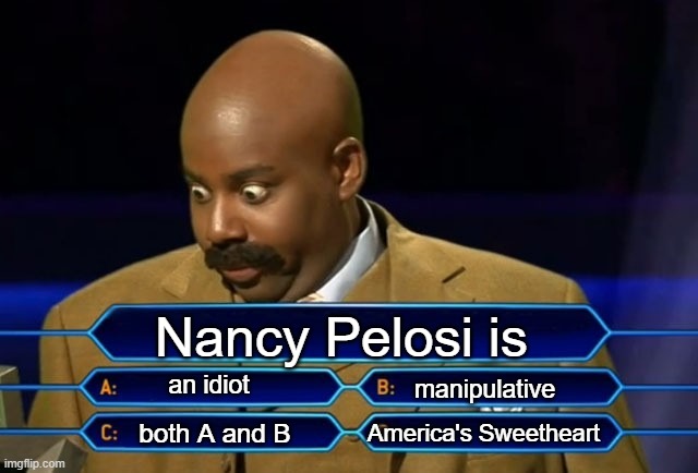 Who wants to be a millionaire? | Nancy Pelosi is; an idiot; manipulative; America's Sweetheart; both A and B | image tagged in who wants to be a millionaire | made w/ Imgflip meme maker