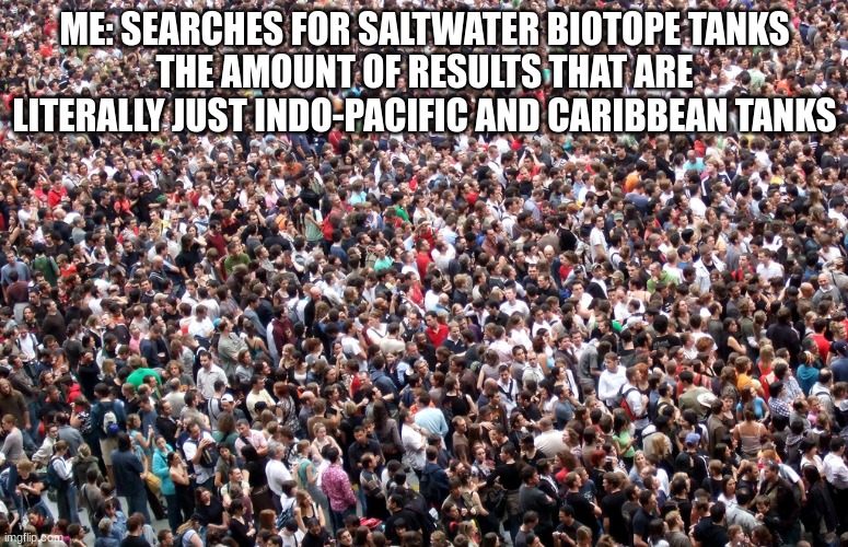 Why don't more people do stuff like predator biotopes or eastern pacific reefs? | ME: SEARCHES FOR SALTWATER BIOTOPE TANKS
THE AMOUNT OF RESULTS THAT ARE LITERALLY JUST INDO-PACIFIC AND CARIBBEAN TANKS | image tagged in crowd of people,aquarium | made w/ Imgflip meme maker