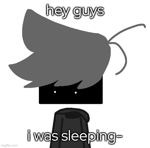 (going to use a different font for this template from now on) | hey guys; i was sleeping- | made w/ Imgflip meme maker