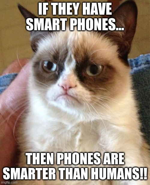 grumpy cat | IF THEY HAVE SMART PHONES... THEN PHONES ARE SMARTER THAN HUMANS!! | image tagged in memes,grumpy cat | made w/ Imgflip meme maker