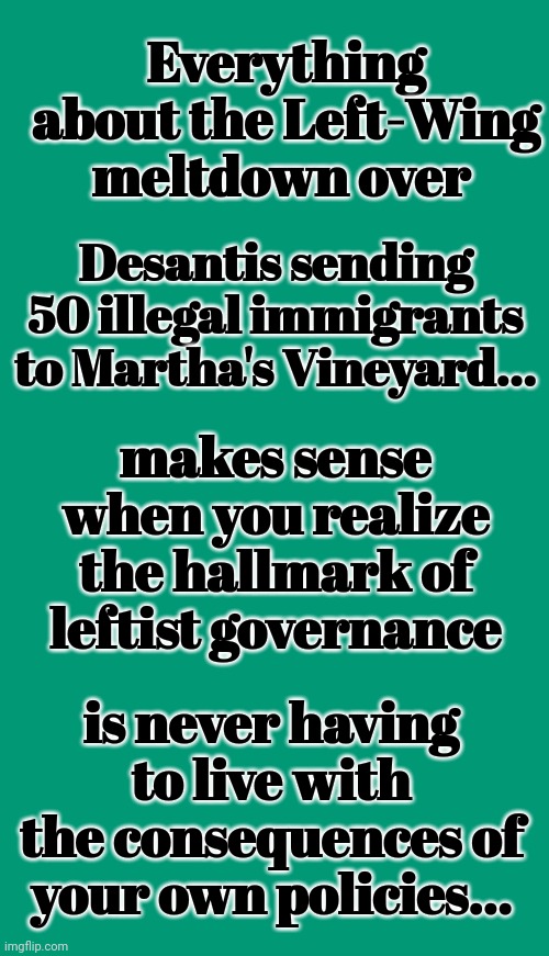 Never Having to Live With The Consequences of Your Own Policies... | Everything about the Left-Wing meltdown over; Desantis sending 50 illegal immigrants to Martha's Vineyard... makes sense when you realize the hallmark of leftist governance; is never having to live with the consequences of your own policies... | image tagged in triggered liberal,left wing,policy,consequences,deal with it | made w/ Imgflip meme maker