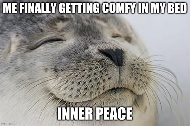 Anyone | ME FINALLY GETTING COMFY IN MY BED; INNER PEACE | image tagged in memes,satisfied seal | made w/ Imgflip meme maker