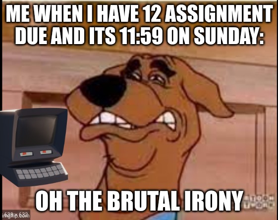 The terror | ME WHEN I HAVE 12 ASSIGNMENT DUE AND ITS 11:59 ON SUNDAY:; OH THE BRUTAL IRONY | image tagged in memes | made w/ Imgflip meme maker