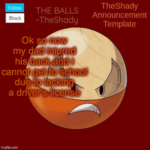 Shadys uhhhh hisuian electrode temp thanks TBMR | Ok so now my dad injured his back and i cannot get to school due to lacking a driver’s license | image tagged in shadys uhhhh hisuian electrode temp thanks tbmr | made w/ Imgflip meme maker