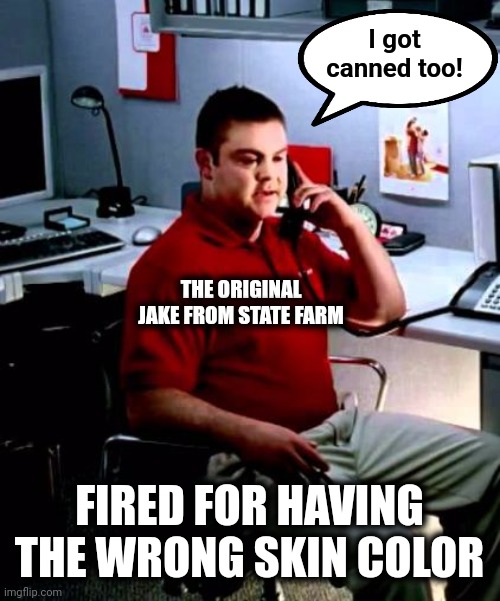 Jake from State Farm | THE ORIGINAL JAKE FROM STATE FARM I got
canned too! FIRED FOR HAVING THE WRONG SKIN COLOR | image tagged in jake from state farm | made w/ Imgflip meme maker
