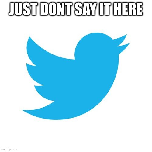 Twitter birds says | JUST DON'T SAY IT HERE | image tagged in twitter birds says | made w/ Imgflip meme maker