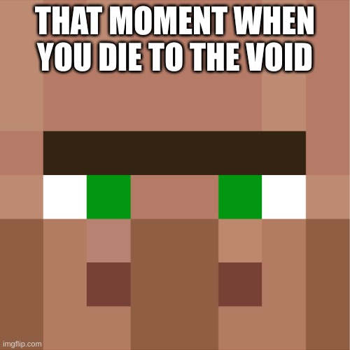 Minecraft Villager | THAT MOMENT WHEN YOU DIE TO THE VOID | image tagged in minecraft villager | made w/ Imgflip meme maker