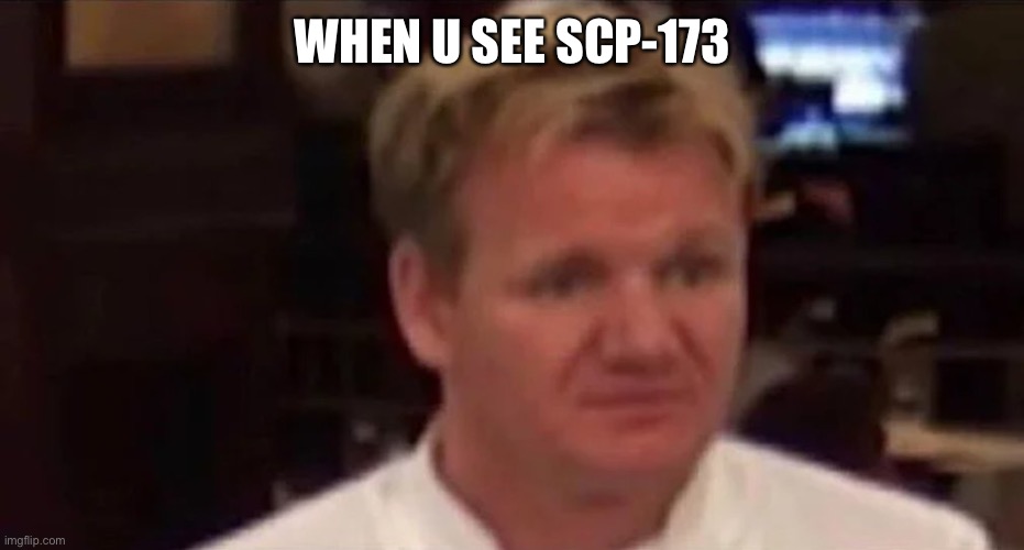 “” | WHEN U SEE SCP-173 | image tagged in disgusted gordon ramsay,scp 173,your gonna have a bad time | made w/ Imgflip meme maker