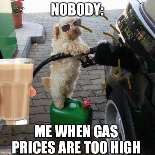 Lol |  NOBODY:; ME WHEN GAS PRICES ARE TOO HIGH | image tagged in gas attendant,gas prices,dog,choccy milk,car | made w/ Imgflip meme maker
