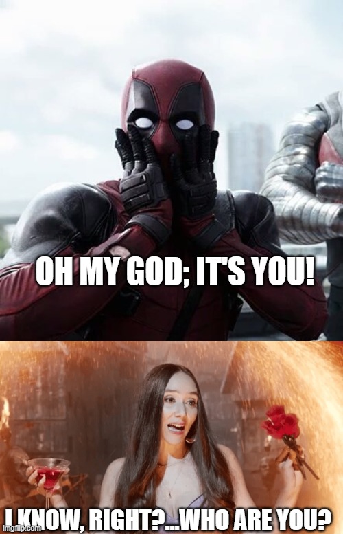 Multiverse of Madisynn 7 | OH MY GOD; IT'S YOU! I KNOW, RIGHT?...WHO ARE YOU? | image tagged in memes,deadpool surprised | made w/ Imgflip meme maker