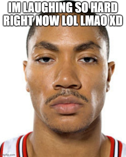Derrick Rose Straight Face | IM LAUGHING SO HARD RIGHT NOW LOL LMAO XD | image tagged in derrick rose straight face | made w/ Imgflip meme maker