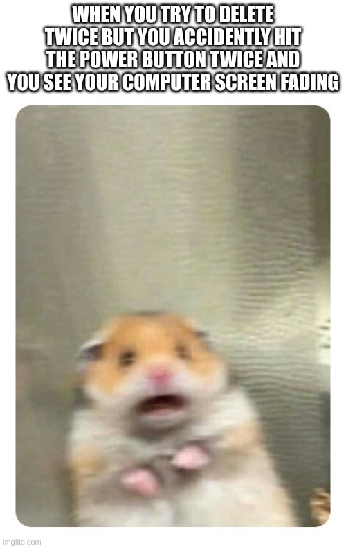 Screaming Hamster | WHEN YOU TRY TO DELETE TWICE BUT YOU ACCIDENTLY HIT THE POWER BUTTON TWICE AND YOU SEE YOUR COMPUTER SCREEN FADING | image tagged in screaming hamster | made w/ Imgflip meme maker