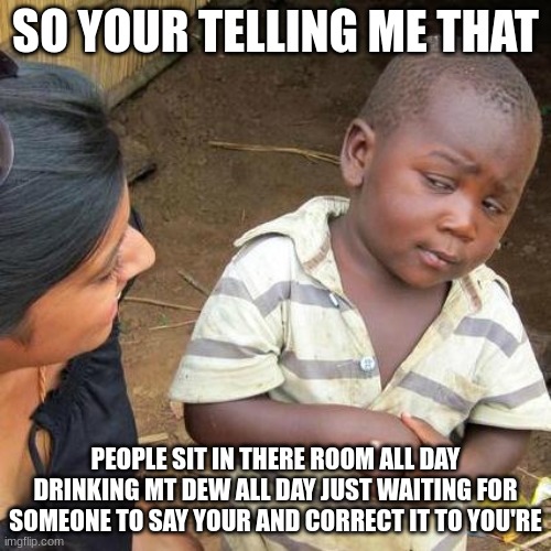 Third World Skeptical Kid | SO YOUR TELLING ME THAT; PEOPLE SIT IN THERE ROOM ALL DAY DRINKING MT DEW ALL DAY JUST WAITING FOR SOMEONE TO SAY YOUR AND CORRECT IT TO YOU'RE | image tagged in memes,third world skeptical kid | made w/ Imgflip meme maker