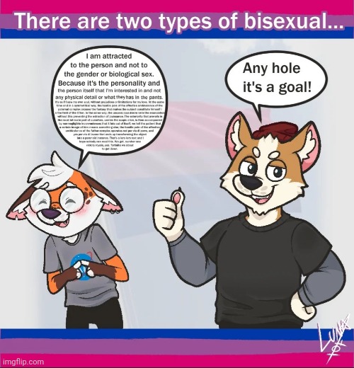 Im the one on the right (art by Luna Xof on twitter) | image tagged in furry,bisexual,hole | made w/ Imgflip meme maker