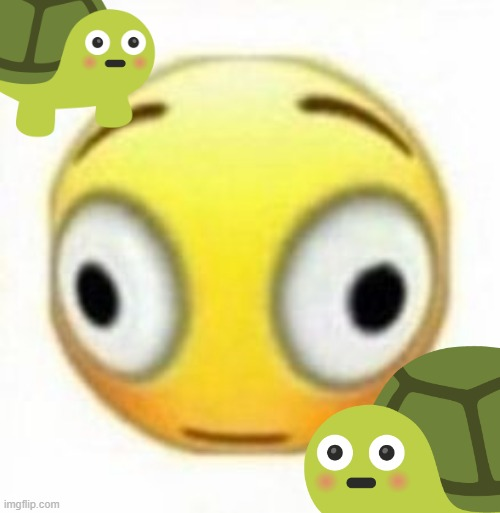 shook turtles Blank Meme Template