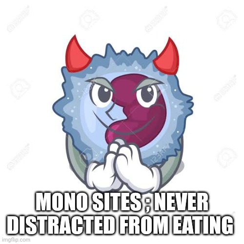 MONO SITES ; NEVER DISTRACTED FROM EATING | made w/ Imgflip meme maker