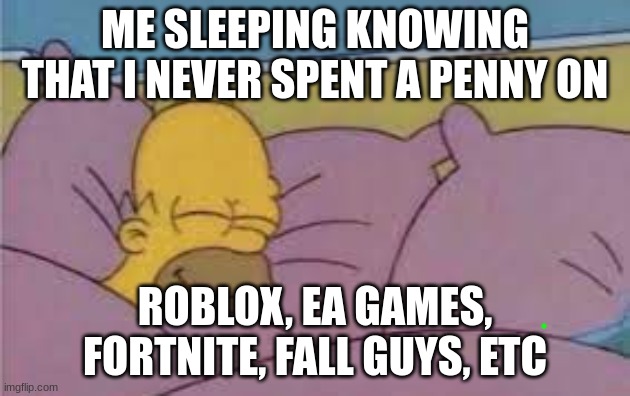 me sleeping | ME SLEEPING KNOWING THAT I NEVER SPENT A PENNY ON; ROBLOX, EA GAMES, FORTNITE, FALL GUYS, ETC | image tagged in hot sexy women,9/11,gamer girl | made w/ Imgflip meme maker