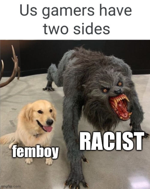 Us Gamers Have Two Sides | image tagged in dog vs werewolf,shitpost,bruh | made w/ Imgflip meme maker