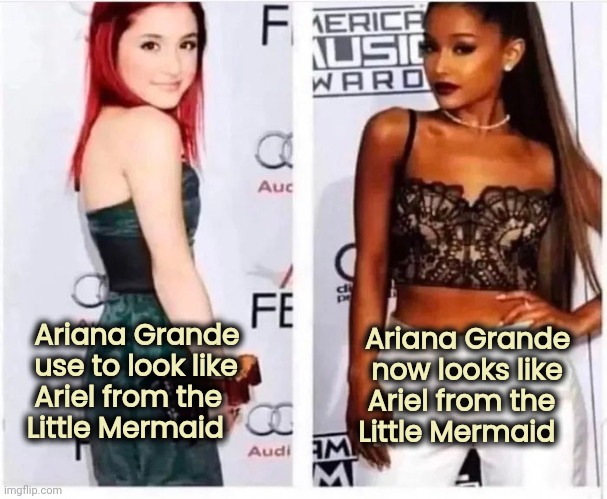 Ariana Grande
  use to look like
  Ariel from the
 Little Mermaid Ariana Grande   
now looks like    
Ariel from the     
Little Mermaid | made w/ Imgflip meme maker