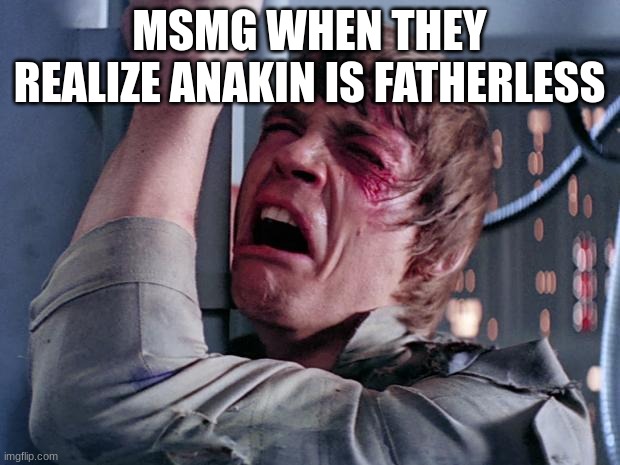 it goes against his badassery | MSMG WHEN THEY REALIZE ANAKIN IS FATHERLESS | image tagged in luke nooooo | made w/ Imgflip meme maker