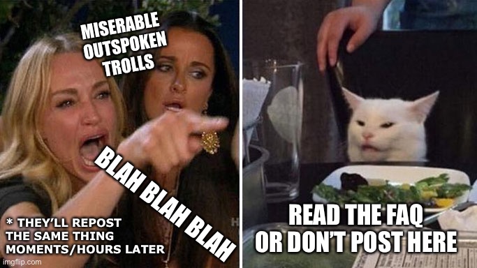 Angry lady cat | MISERABLE 
OUTSPOKEN
TROLLS; READ THE FAQ OR DON’T POST HERE; BLAH BLAH BLAH; * THEY’LL REPOST THE SAME THING MOMENTS/HOURS LATER | image tagged in angry lady cat | made w/ Imgflip meme maker