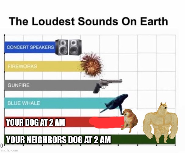 Not your usual meme... |  YOUR DOG AT 2 AM; YOUR NEIGHBORS DOG AT 2 AM | image tagged in the loudest sounds on earth | made w/ Imgflip meme maker