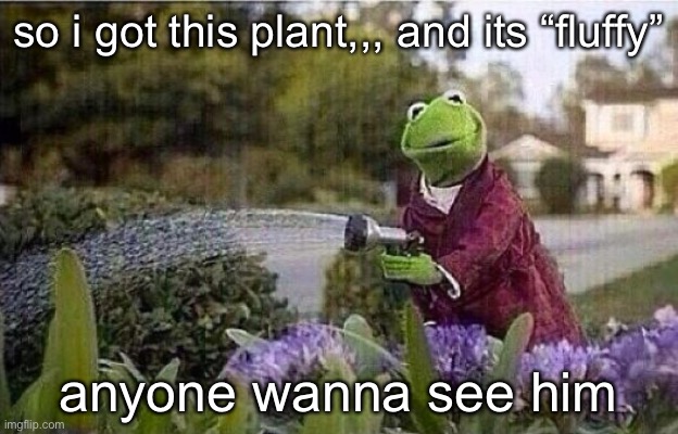 Kermit Watering Plants | so i got this plant,,, and its “fluffy”; anyone wanna see him | image tagged in kermit watering plants | made w/ Imgflip meme maker