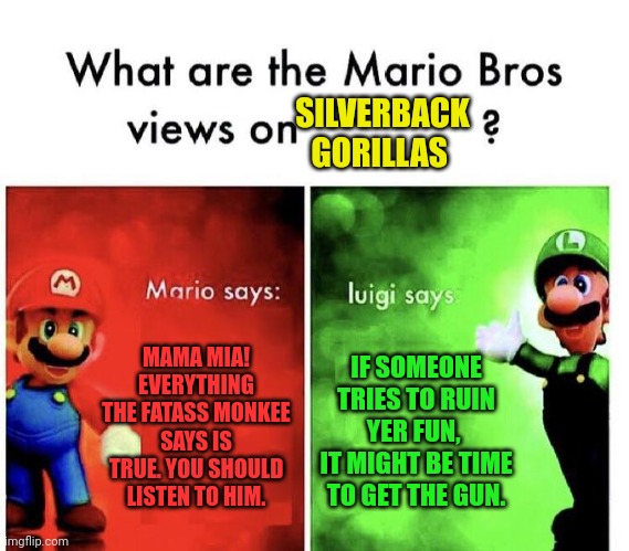 *monkee |  SILVERBACK GORILLAS; MAMA MIA! EVERYTHING THE FATASS MONKEE SAYS IS TRUE. YOU SHOULD LISTEN TO HIM. IF SOMEONE TRIES TO RUIN YER FUN, 
IT MIGHT BE TIME TO GET THE GUN. | image tagged in mario bros views,monkee,get the gun | made w/ Imgflip meme maker