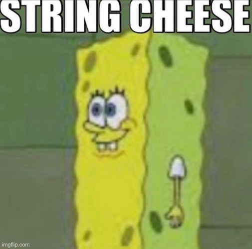 image tagged in memes | made w/ Imgflip meme maker