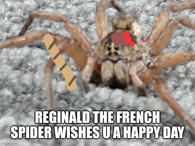 Itz a wolf spider that my social studies teacher let out | REGINALD THE FRENCH SPIDER WISHES U A HAPPY DAY | image tagged in spider,french | made w/ Imgflip meme maker