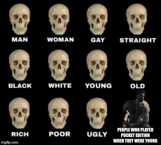 idiot skull | PEOPLE WHO PLAYED POCKET EDITION WHEN THEY WERE YOUNG | image tagged in idiot skull | made w/ Imgflip meme maker