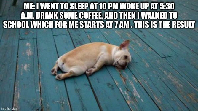 my life for the rest of the school year. | ME: I WENT TO SLEEP AT 10 PM WOKE UP AT 5:30 A.M, DRANK SOME COFFEE, AND THEN I WALKED TO SCHOOL WHICH FOR ME STARTS AT 7 AM . THIS IS THE RESULT | image tagged in tired dog,memes,funny memes | made w/ Imgflip meme maker