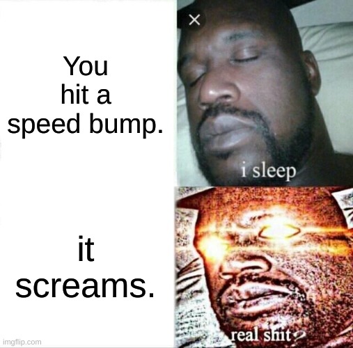 Welp. There go my dinner plans. | You hit a speed bump. it screams. | image tagged in memes,sleeping shaq | made w/ Imgflip meme maker