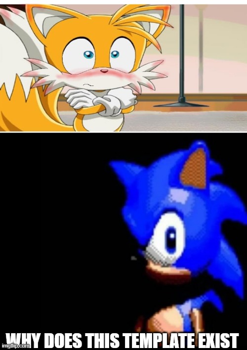 Thank you people, you just ruined tails | WHY DOES THIS TEMPLATE EXIST | image tagged in sonic stares | made w/ Imgflip meme maker