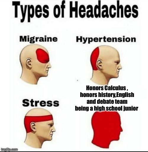 The life of a junior | Honors Calculus ,
honors history,English and debate team being a high school junior | image tagged in types of headaches meme | made w/ Imgflip meme maker