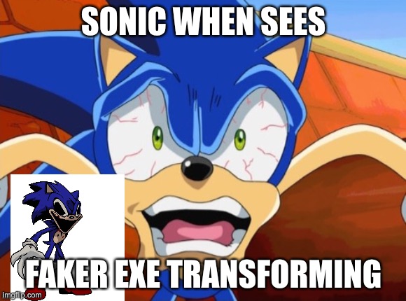 Sonic Scared Face | SONIC WHEN SEES; FAKER EXE TRANSFORMING | image tagged in sonic scared face | made w/ Imgflip meme maker