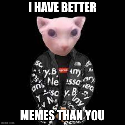  I HAVE BETTER; MEMES THAN YOU | image tagged in bingus drip | made w/ Imgflip meme maker