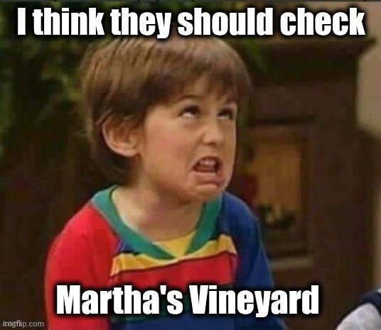 Sarcastic kid | I think they should check Martha's Vineyard | image tagged in sarcastic kid | made w/ Imgflip meme maker