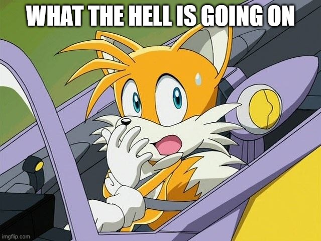 WHAT THE HELL IS GOING ON | image tagged in tails | made w/ Imgflip meme maker