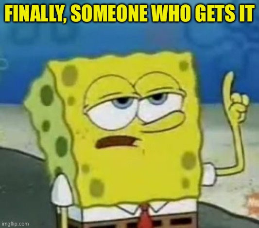 I'll Have You Know Spongebob Meme | FINALLY, SOMEONE WHO GETS IT | image tagged in memes,i'll have you know spongebob | made w/ Imgflip meme maker
