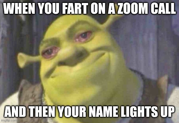  WHEN YOU FART ON A ZOOM CALL; AND THEN YOUR NAME LIGHTS UP | image tagged in crying shrek | made w/ Imgflip meme maker